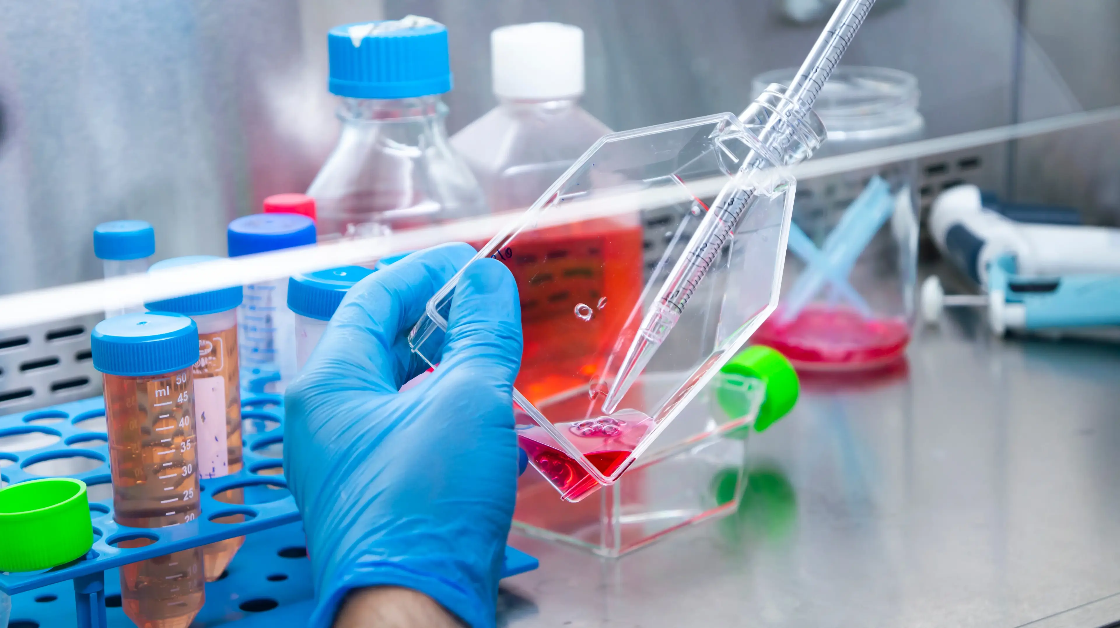 Cell Line Development